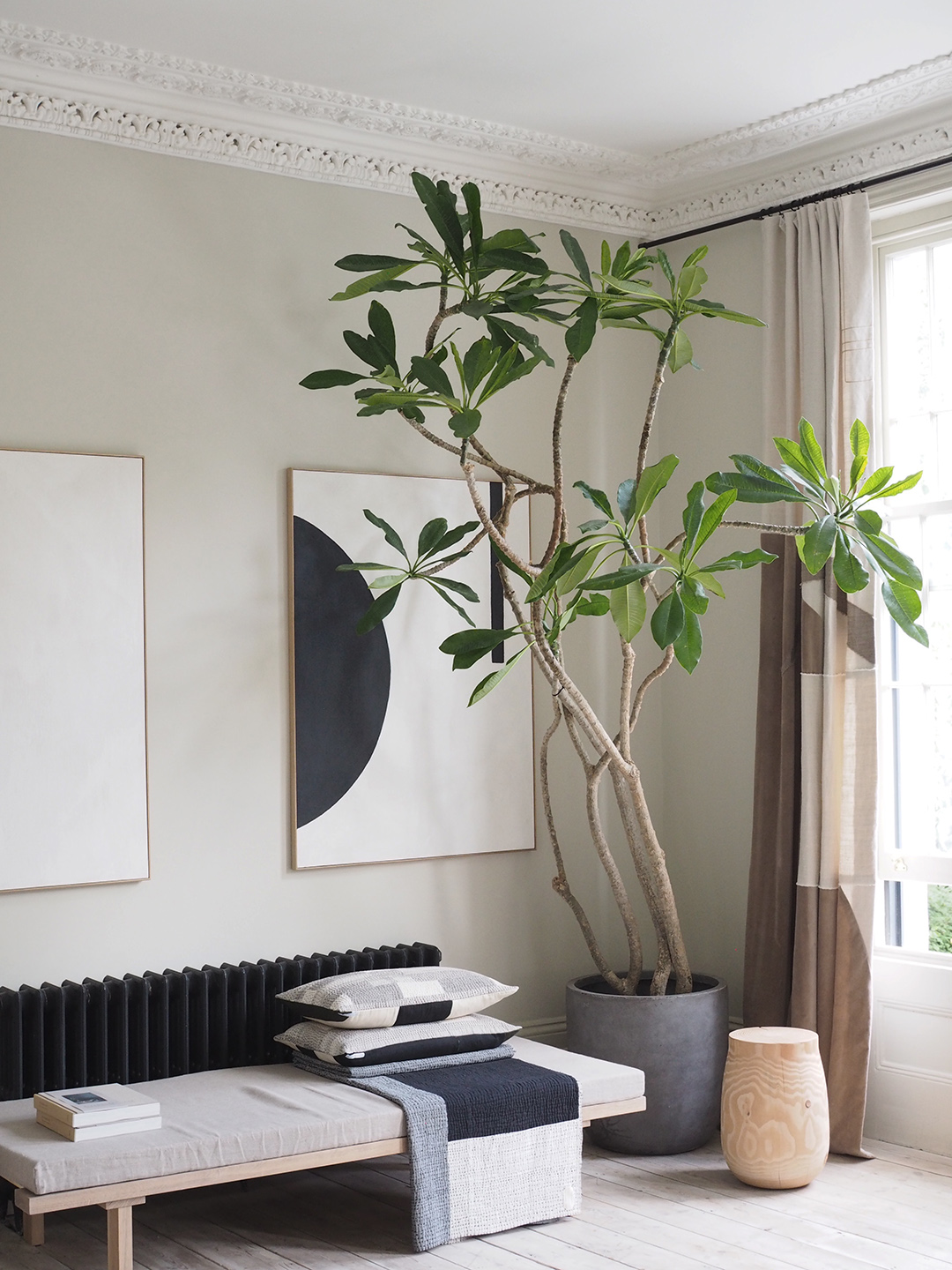 Bring the Outdoors In with Plants